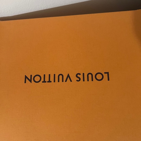 Louis Vuitton Handbags - Louis vuitton bag